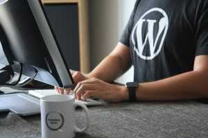 Home Voordelen van WordPress: design opties, plugins en gebruiksvriendelijke interface voor website-ontwikkeling